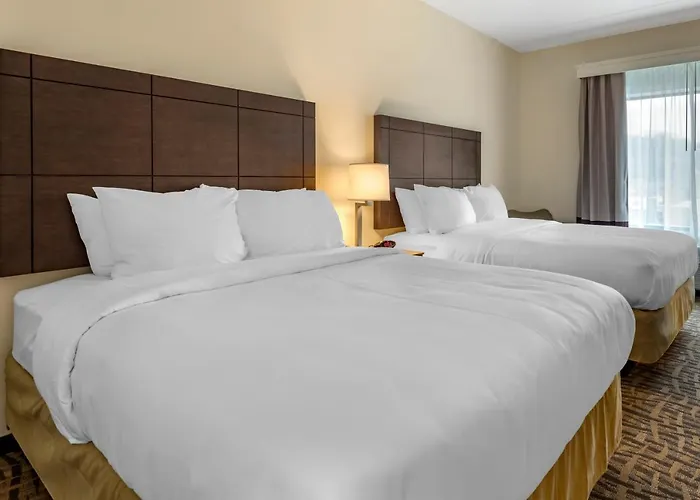 Comfort & Pittsburgh-northshore 4* Pittsburgh