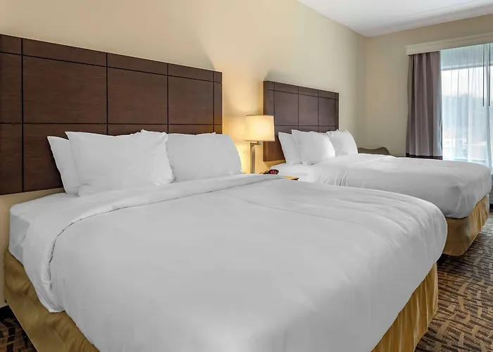 Hotel Comfort & Pittsburgh-northshore 4*