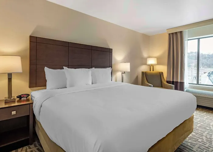 Comfort & Pittsburgh-northshore Pittsburgh