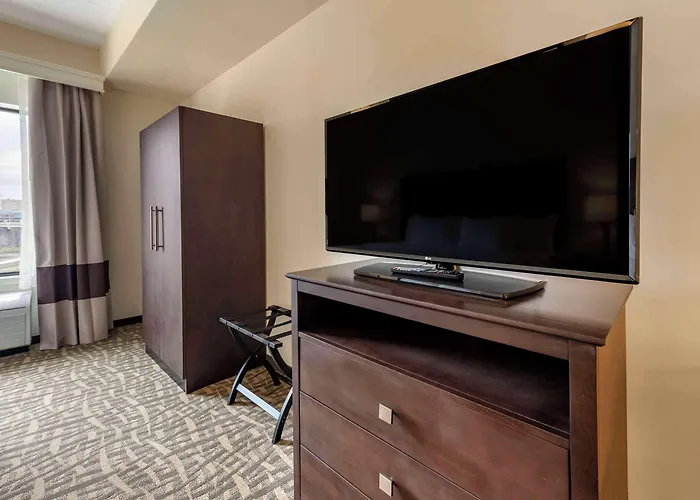 Comfort & Pittsburgh-northshore Hotel