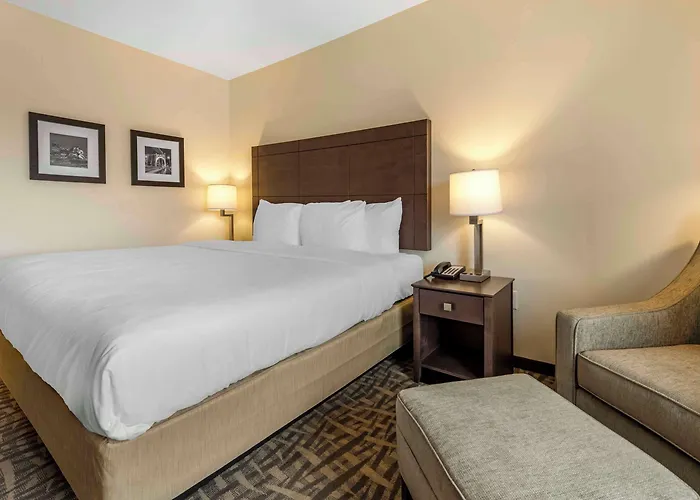 Comfort & Pittsburgh-northshore 4* Pittsburgh