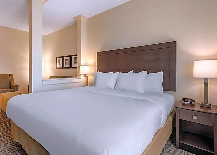 Comfort & Pittsburgh-northshore Hotel Pittsburgh