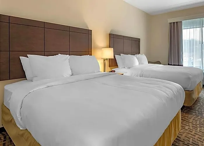 Comfort & Pittsburgh-northshore Pittsburgh