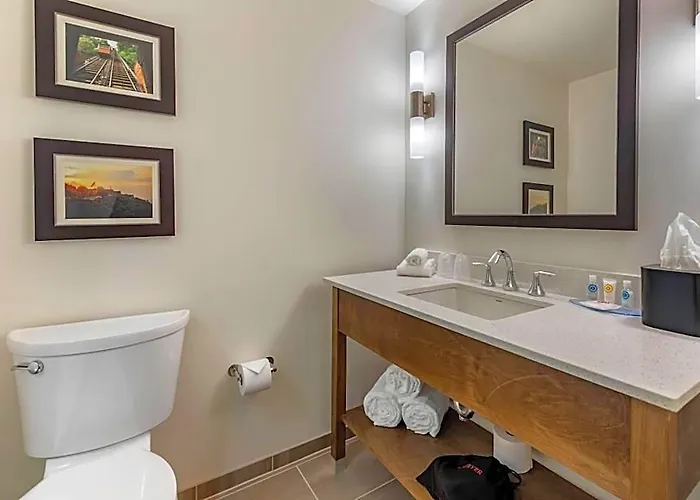 Comfort & Pittsburgh-northshore Hotel