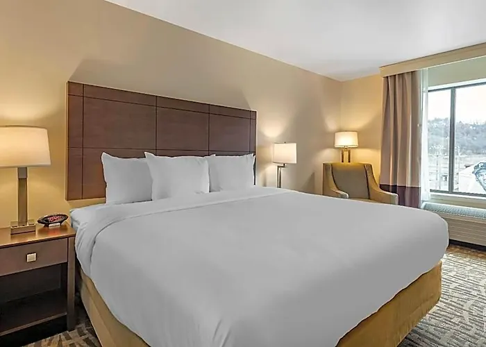 Comfort & Pittsburgh-northshore Pittsburgh