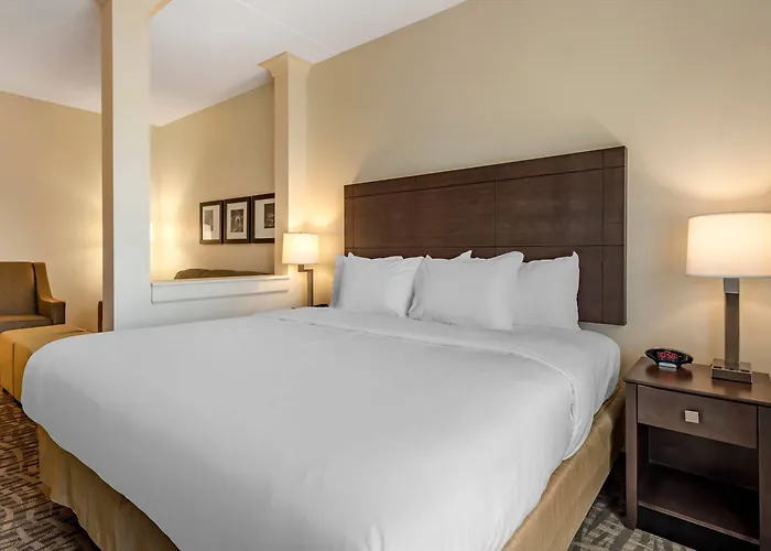 Hotel Comfort & Pittsburgh-northshore 4*