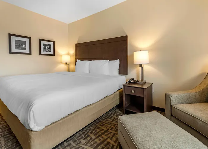 Comfort & Pittsburgh-northshore Hotel 4*